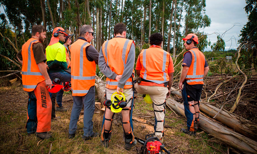 Workplace safety training group